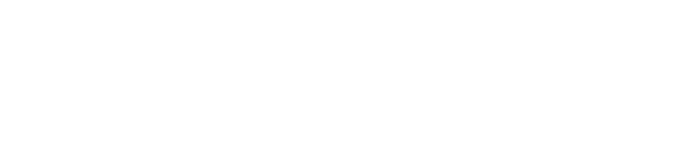 Village At Palm Center logo